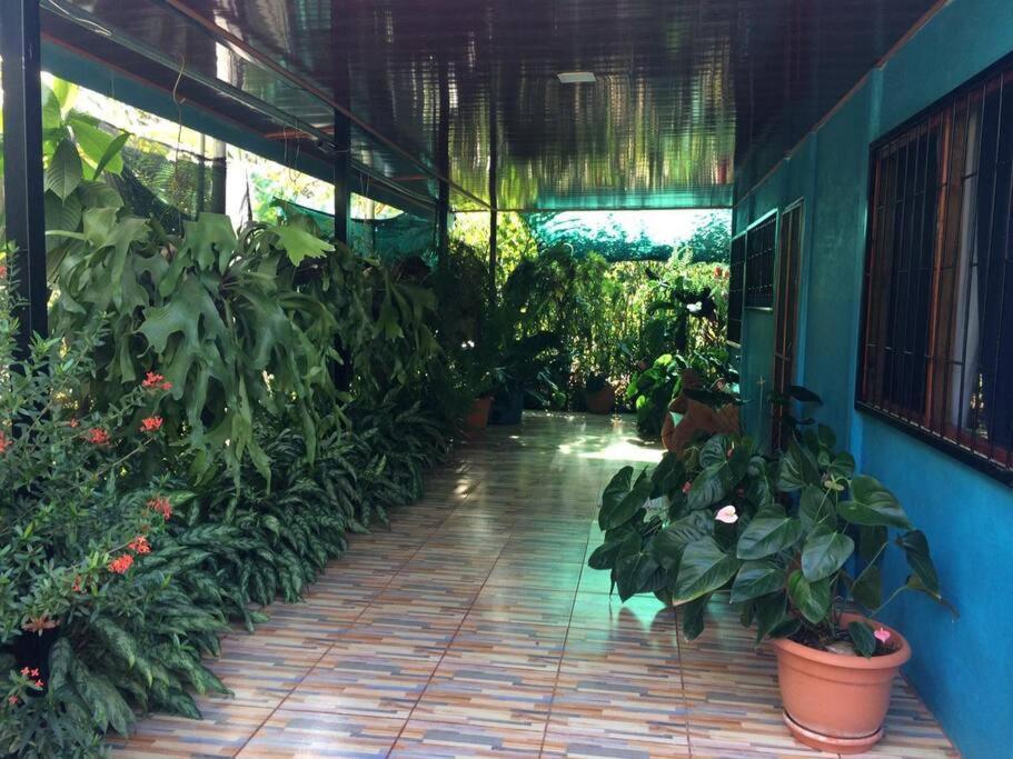Hospedaje Valencia Osa, Cr Potrero  Exterior photo
