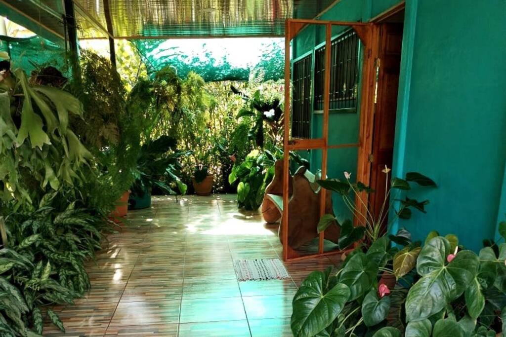 Hospedaje Valencia Osa, Cr Potrero  Exterior photo